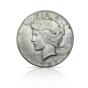 Random Year - Peace Dollar VG Silver Coin